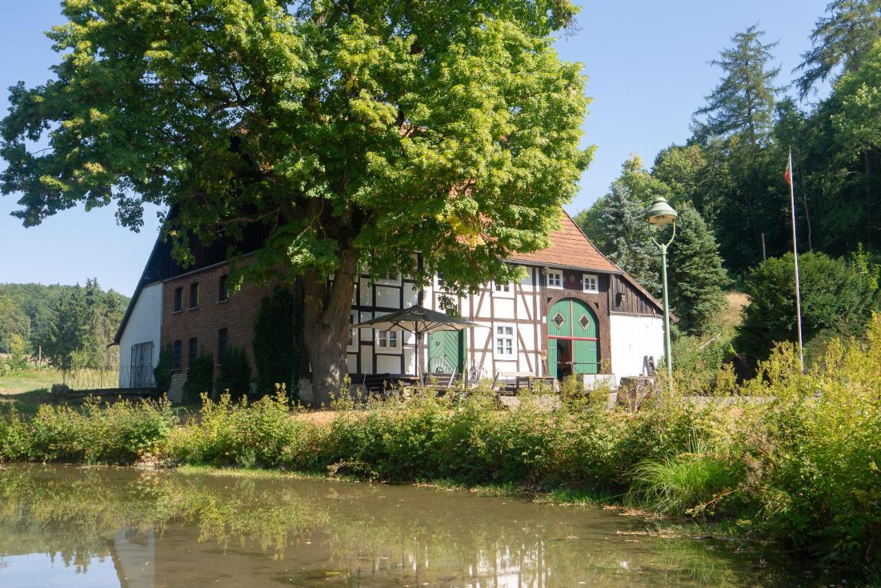 Villa Suffelmuehle à Bad Driburg Extérieur photo